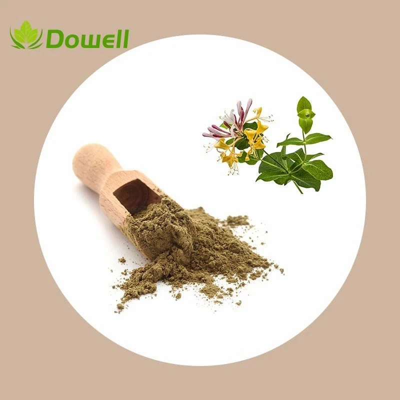 Lonicera Caprifolium Extract